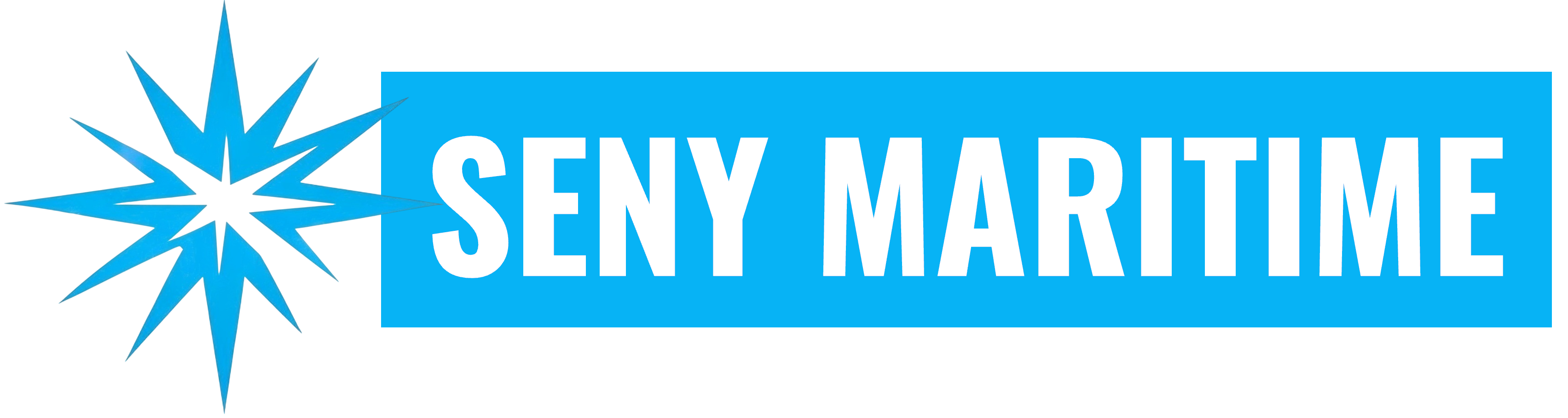 Seny Maritime_Logo7mini.png